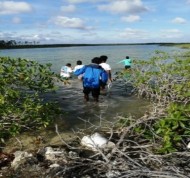 BAMSI studies ecological impacts of London Creek