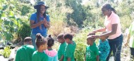 BAMSI’s extension services bring sustainable growth to South Andros