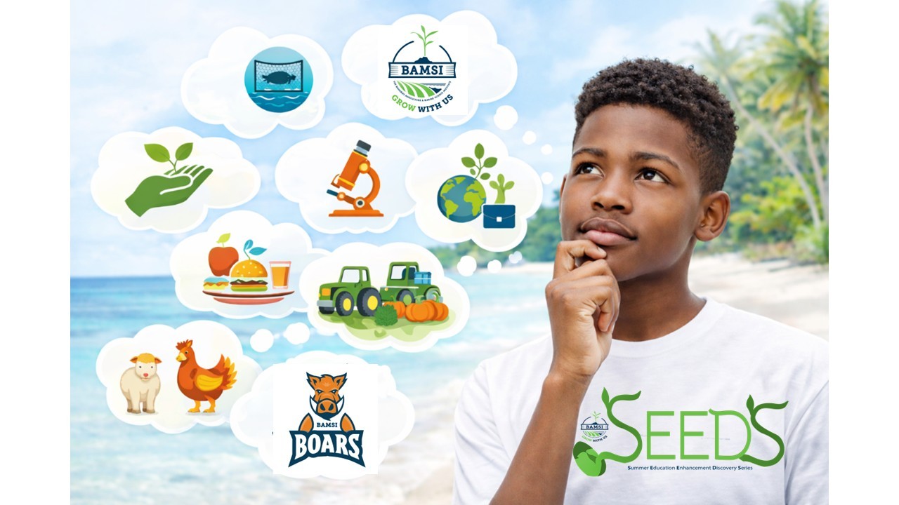 S.E.E.D.S Summer Camp North Andros Campus