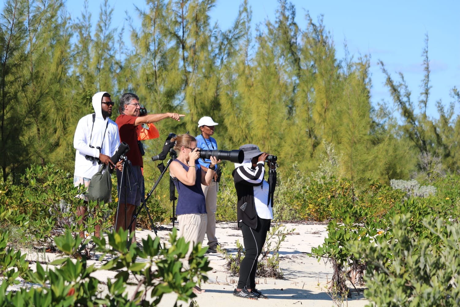 BAMSI HOSTS TCI BIRDERS