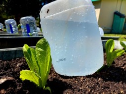 Irrigation and 4 h club