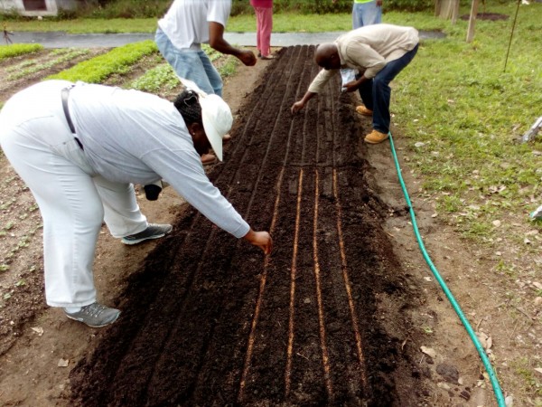 Introduction To Soil Science