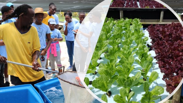 Aquaponics