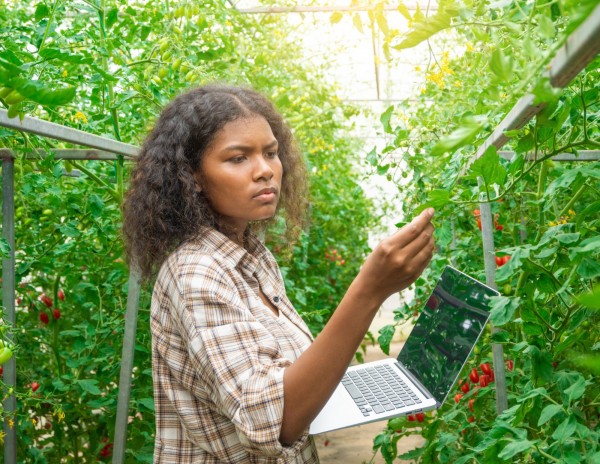 School of Agriculture and Natural Resources