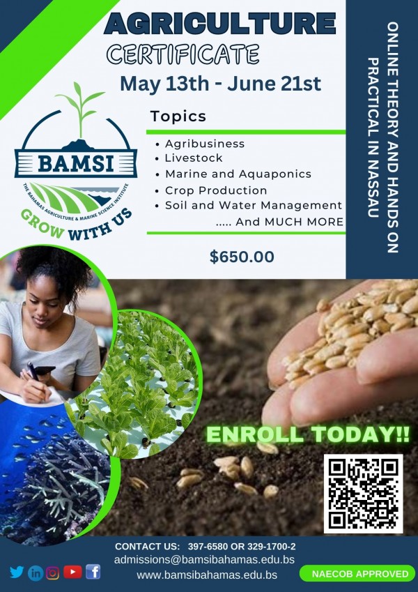CERTIFICATE IN AGRICULTURE