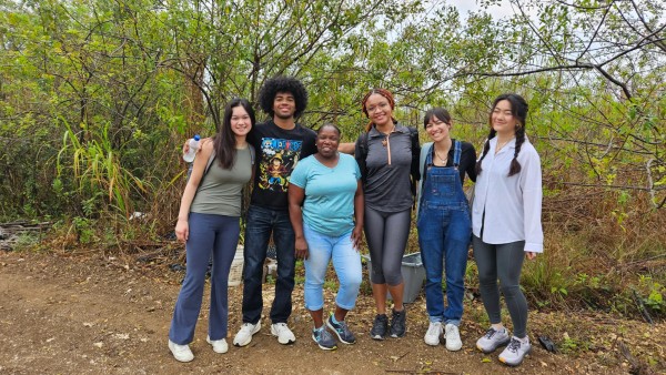 Sustainable Agriculture Takes Root in Andros Through BAMSI-led Renewable Energy Project