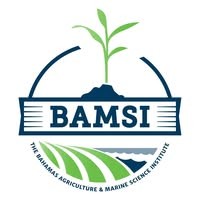 Growing interest in farming: BAMSI benefitting Long Island