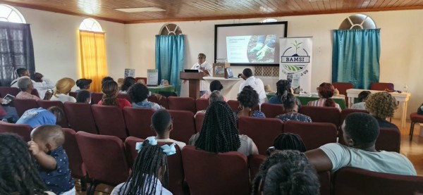 BAMSI Agri-Development Officer Sherri Fountain shares best practices for starting an herb garden