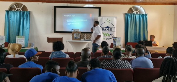 BAMSI Agri-Development Officer Travone Pinder shares tips on how to successful start a backyard garden.